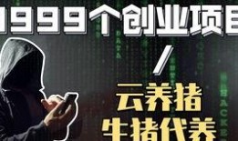 创业的视频,揭秘成功之路