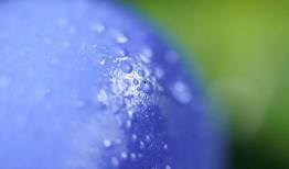 水莓100视频,揭秘神秘水莓世界的奇幻之旅