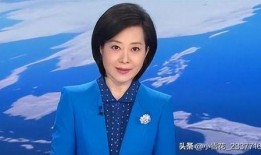 沈旭华主持视频,揭秘视频背后的精彩瞬间