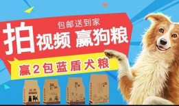 狗粮做法视频教程,自制狗粮视频教程全解析