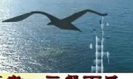 逍遥游朗诵视频,穿越时空的飞翔之旅