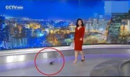 紫贝之家免费视频私人,免费视频私人生体验分享