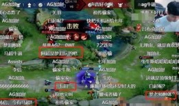 梦泪单挑水晶视频,单挑水晶一挑五，精彩瞬间回顾