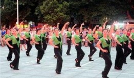 五个社会哥广场舞视频,广场舞视频盛宴