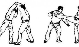 绵张拳的步法视频,身形灵动，步履稳健