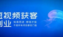 创业的视频,揭秘成功之路