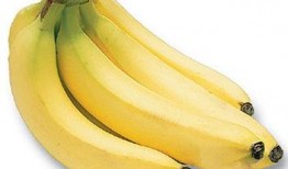 大香蕉大香蕉线视频一级,揭秘一级内容背后的故事