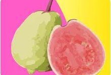 芭乐视频i,揭秘热门短视频平台的魅力与挑战