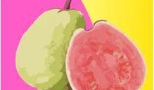 芭乐视频i,揭秘热门短视频平台的魅力与挑战