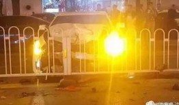 板子打光屁股视频大全,盘点热门搞笑视频集锦