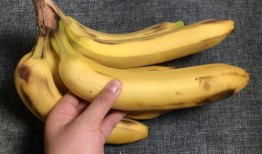 大香蕉大香蕉线视频一级,揭秘一级内容背后的故事