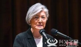 康京和视频,展现外交风采与智慧