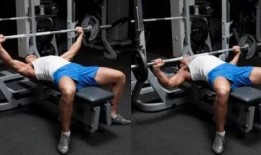 曲杆杠铃锻炼视频,高效塑形与核心强化指南