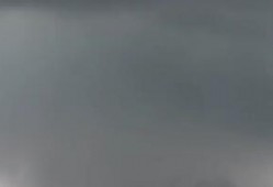 河南拍到龙的视频,视频揭示古老传说新证据