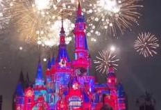 迪士尼烟花表演视频,迪士尼烟花表演的视觉盛宴