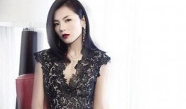 苏静一枝独秀经历视频,一枝独秀，绽放舞台的璀璨星光