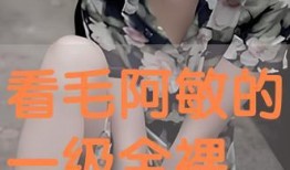 日本视频三级,背后隐藏的真相与争议