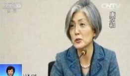 康京和视频,展现外交风采与智慧