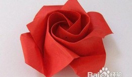 怎样用纸折玫瑰花视频,教你轻松折出浪漫玫瑰花