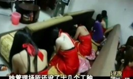 广东东莞扫黄视频,重拳打击，还社会一片安宁