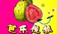 芭乐视频i,揭秘热门短视频平台的魅力与挑战