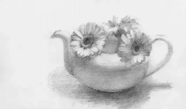 免费素描教程视频,从入门到精通的绘画之旅