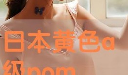 日本视频三级,背后隐藏的真相与争议